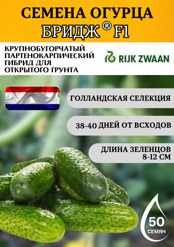 Бридж F1 семена огурца