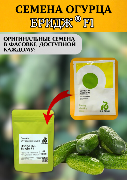 Бридж F1 семена огурца