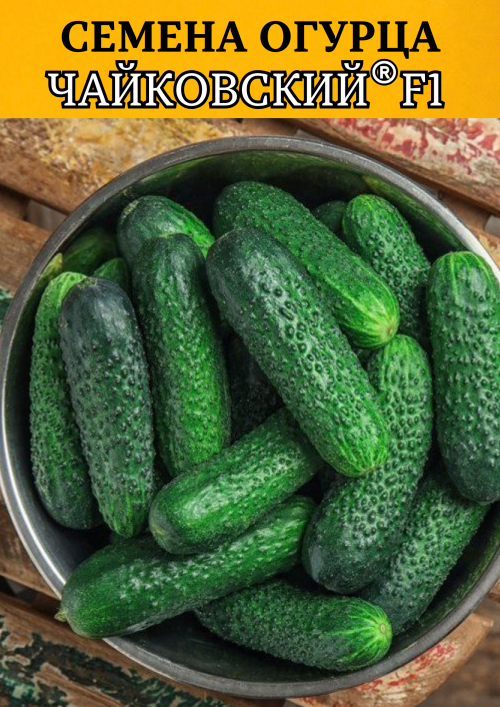 Чайковский F1 семена огурца