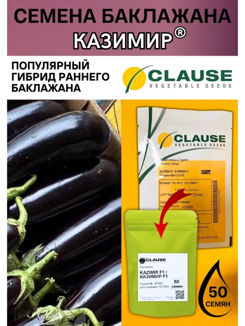Казимир F1 семена баклажана