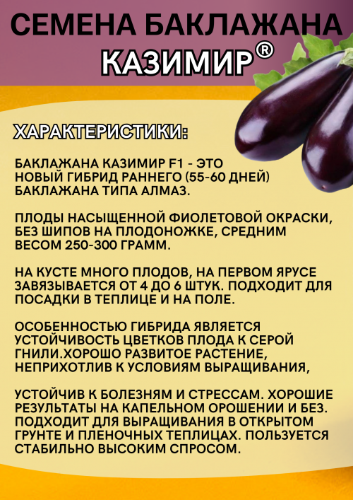 Казимир F1 семена баклажана