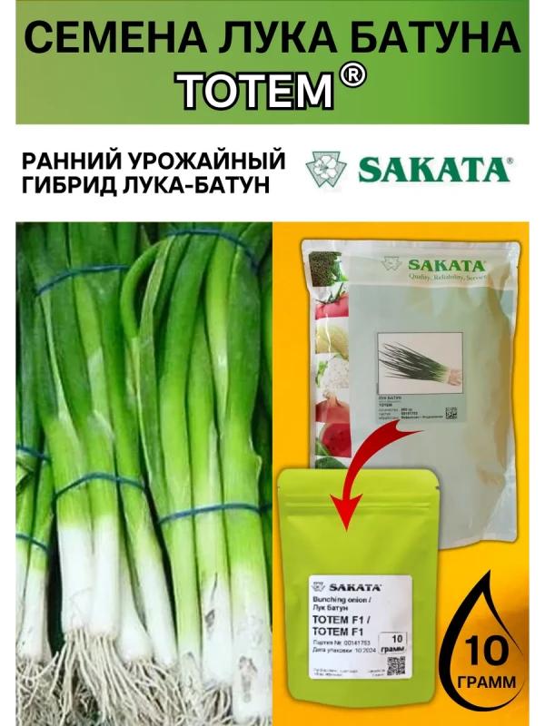 Тотем семена лука батуна