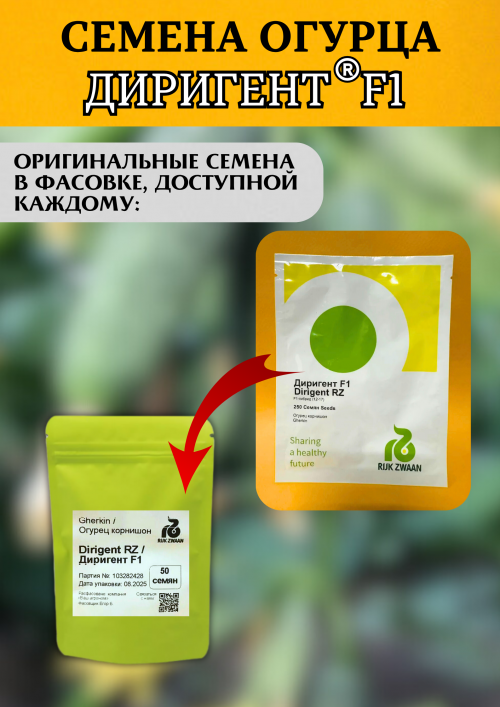 Диригент F1 семена огурца