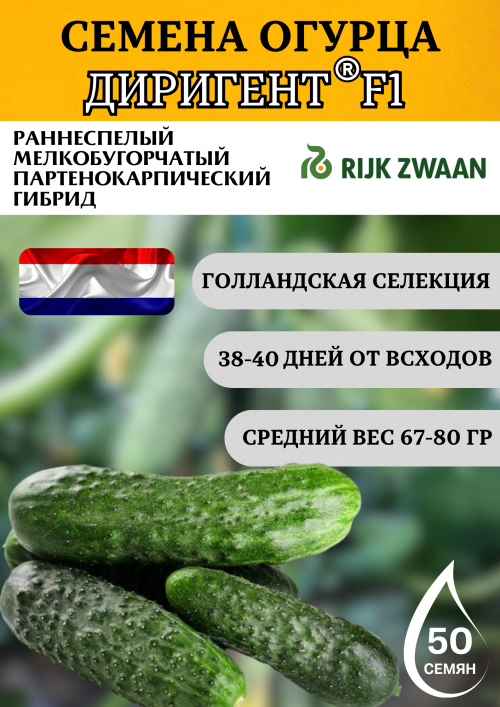 Диригент F1 семена огурца