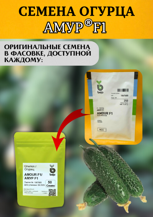 Амур F1 семена огурца