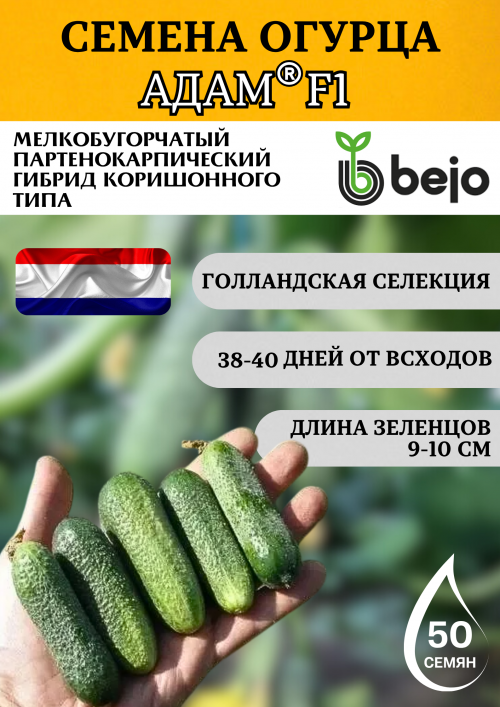 Адам F1 семена огурца