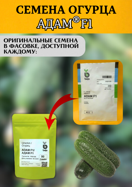 Адам F1 семена огурца