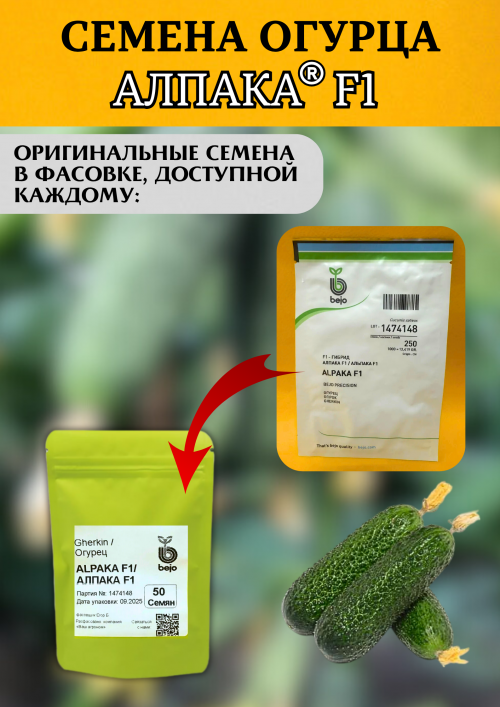 Алпака (Альпака) F1 семена огурца