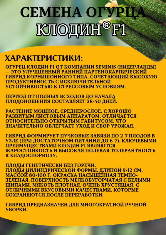Клодин F1 семена огурца