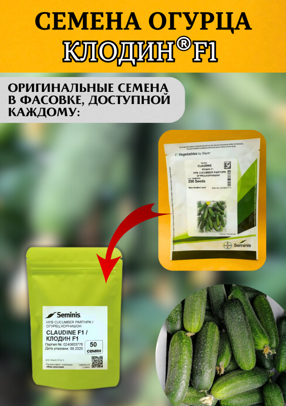 Клодин F1 семена огурца