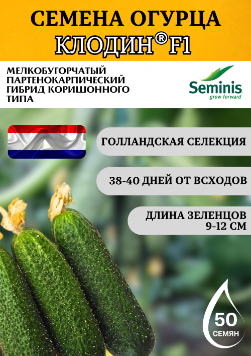 Клодин F1 семена огурца