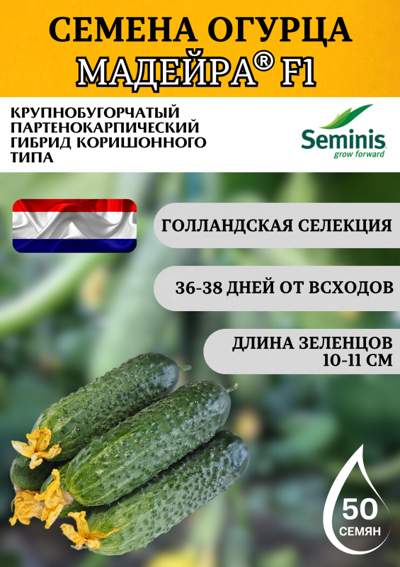 Мадейра F1 (СВ 0196 ЦВ) семена огурца