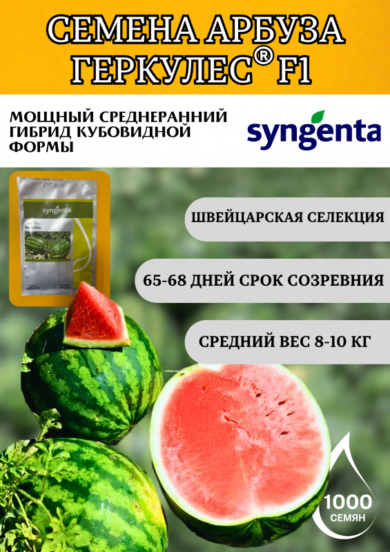 Геркулес F1 семена арбуза