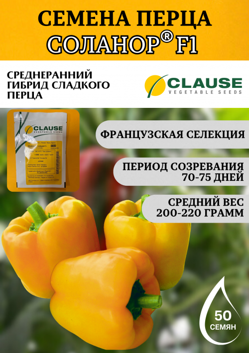 Соланор F1 семена сладкого перца