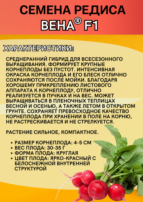 Вена F1 семена редиса