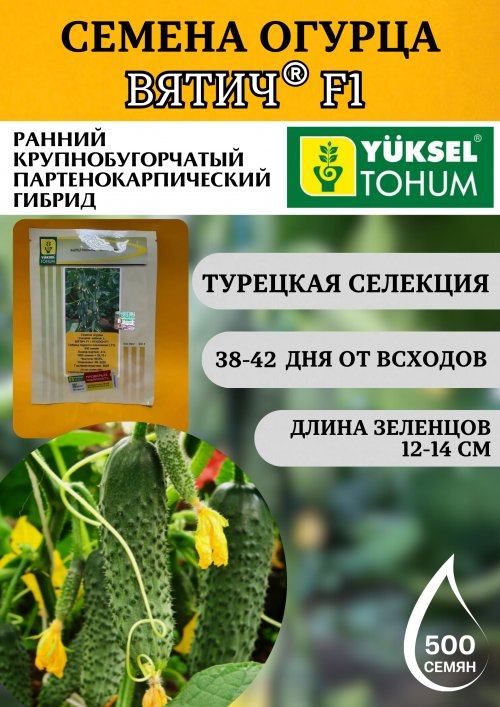 Вятич F1 семена огурца