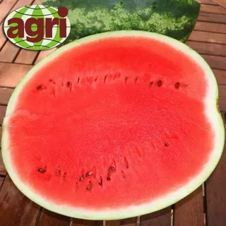 АУ Продюсер F1 семена арбуза 500 грамм