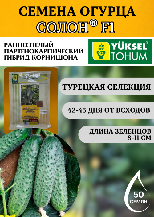 Солон F1 семена огурца