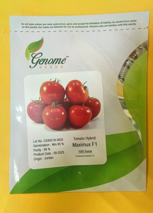 Максимус F1 семена томата