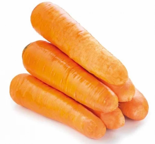 СВ 3118 F1 семена моркови