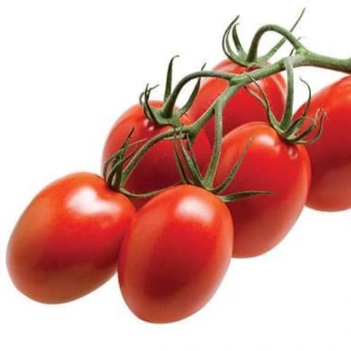 Волантис F1 семена томата