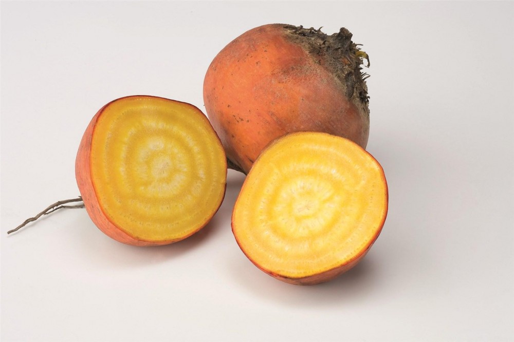 Болдор F1 семена свеклы