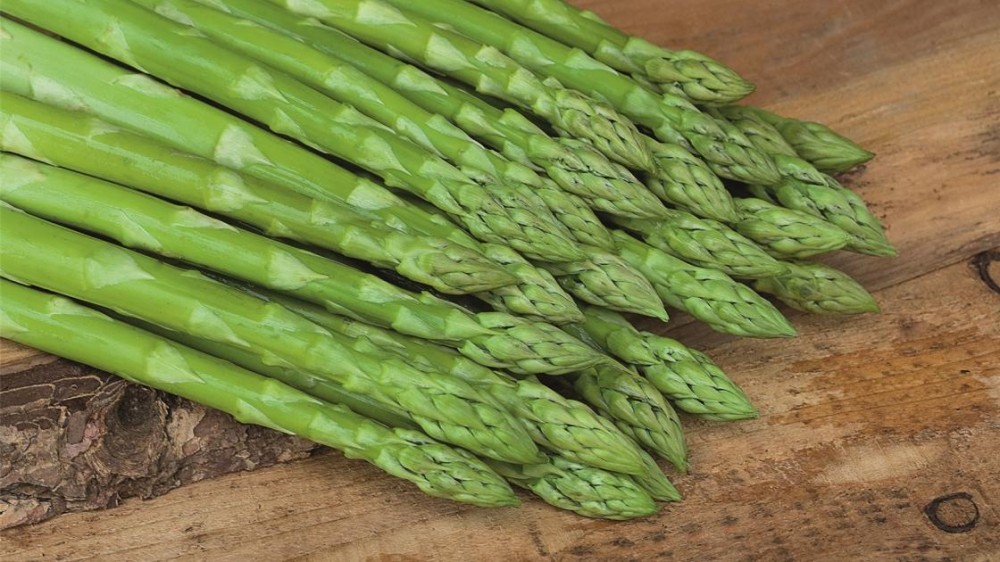 Бахус F1 спаржа 500 семян