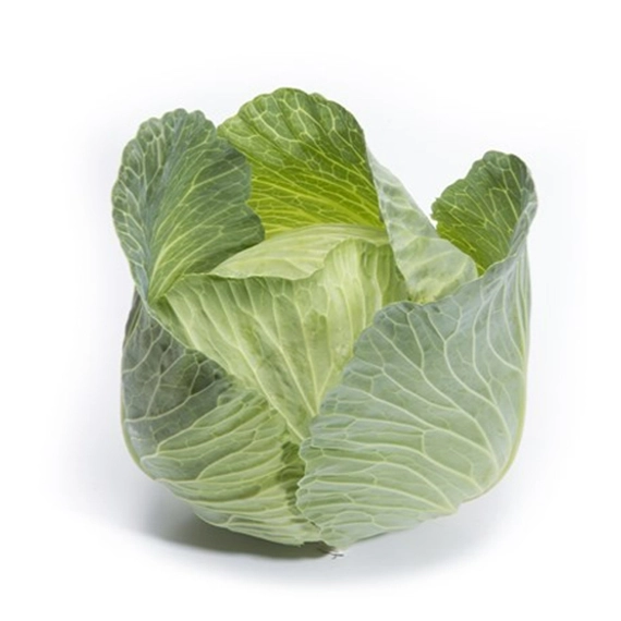 Вертекс F1 капуста белокочанная 2500 семян