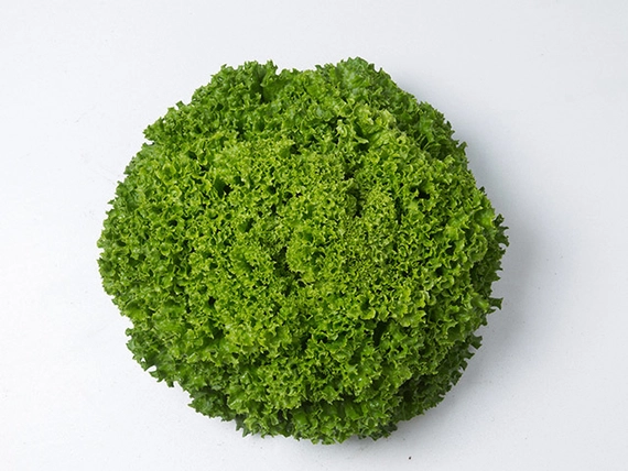 Илема салат 5000 семян
