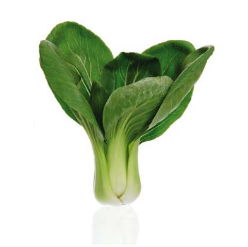 Янг Цинг Чой F1 капуста китайская 2500 семян