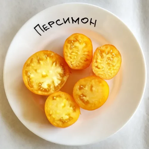 Персимон F1 томат 500 семян