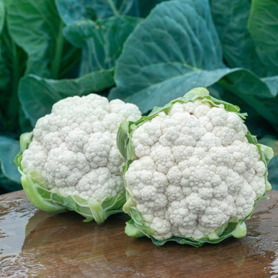 Гайдлайн F1 капуста цветная 2500 семян