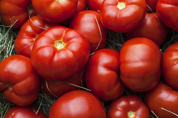 Гравитет F1 томат 500 семян