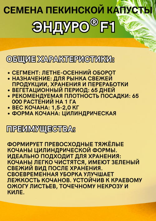Эндуро F1семена капусты пекинской