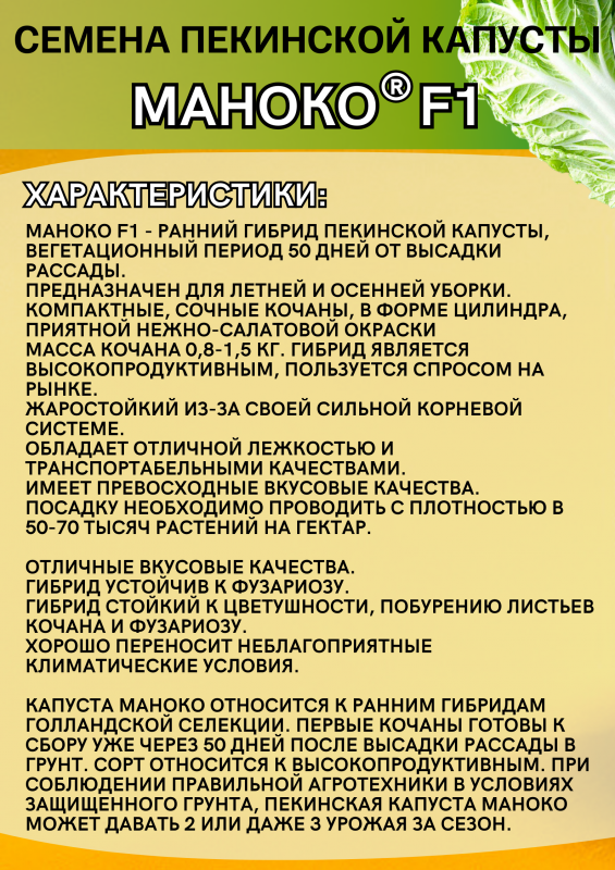 Маноко F1 семена капусты пекинской