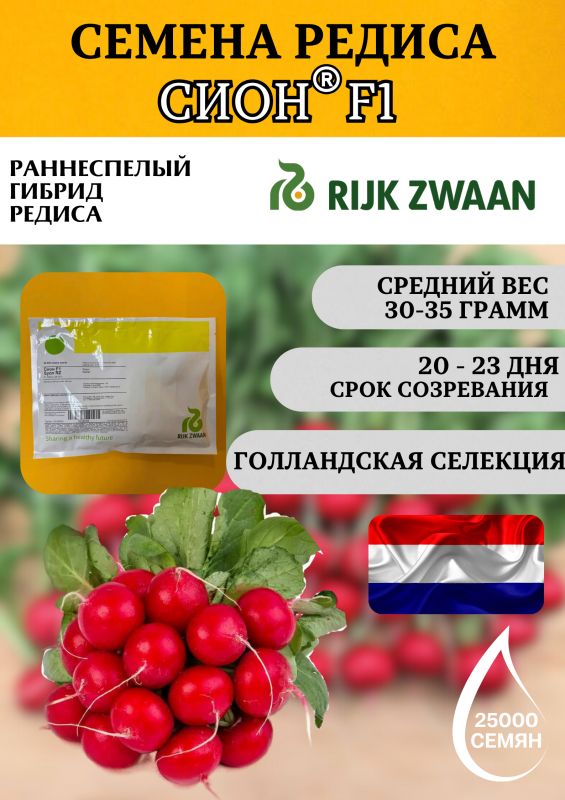 Сион F1 семена редиса