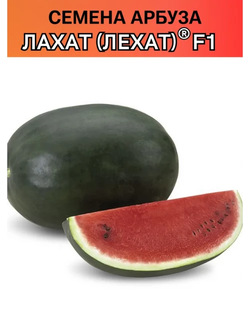 Лехат (Лахат) семена арбуза