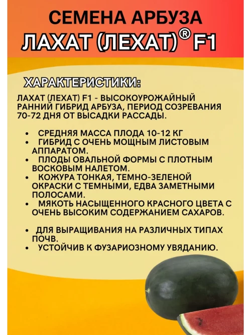 Лехат (Лахат) семена арбуза