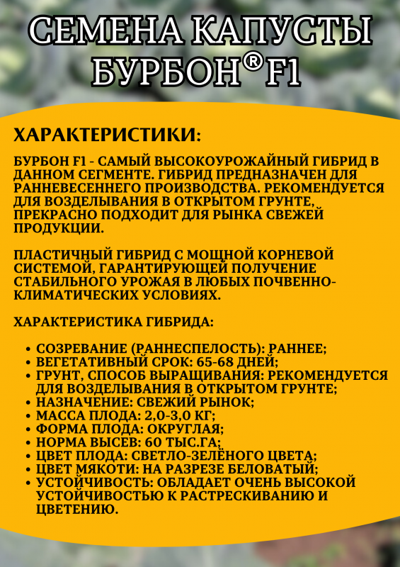 Бурбон F1 семена капусты белокочанной