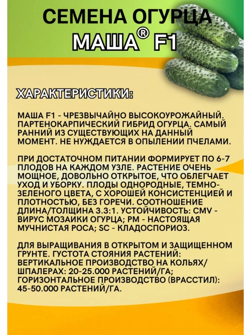 Маша F1 семена огурца корнишона раннего