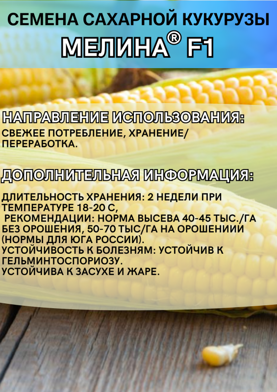 Мелина F1 семена сахарной кукурузы