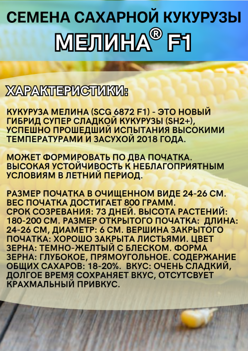 Мелина F1 семена сахарной кукурузы