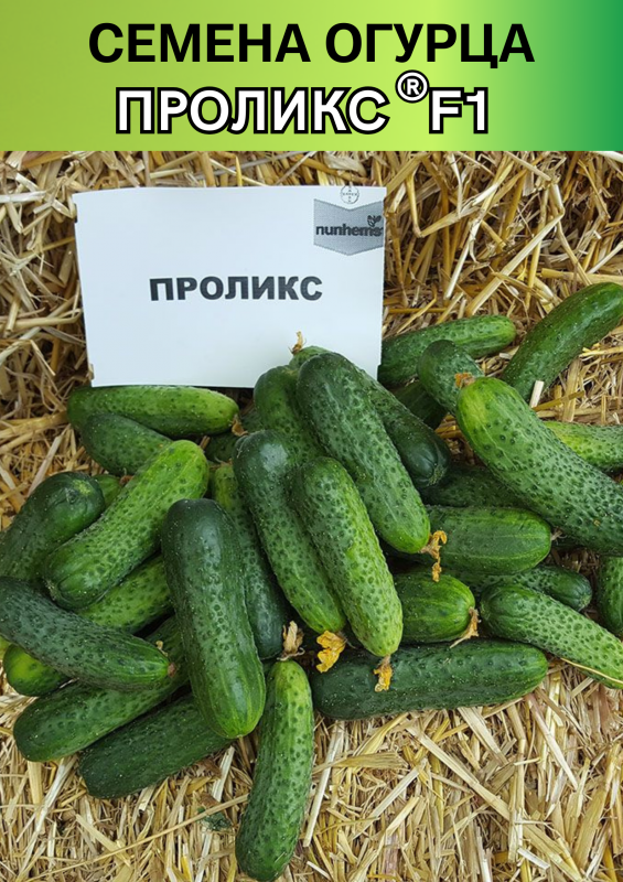 Проликс F1 семена огурца