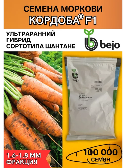 Кордоба F1 семена моркови